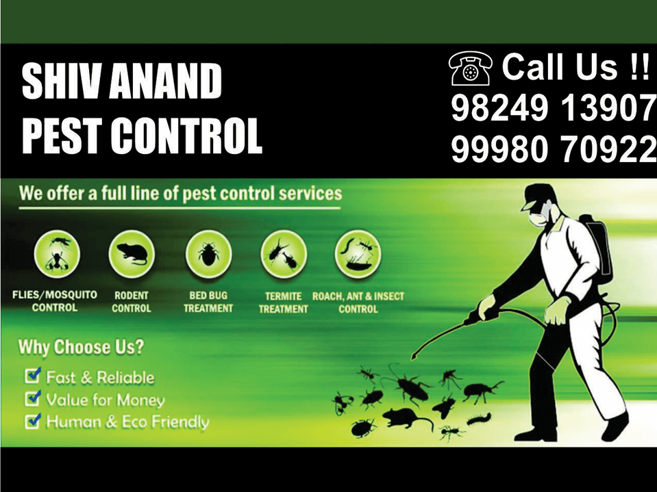 Shiv-Anand-Pest-Control