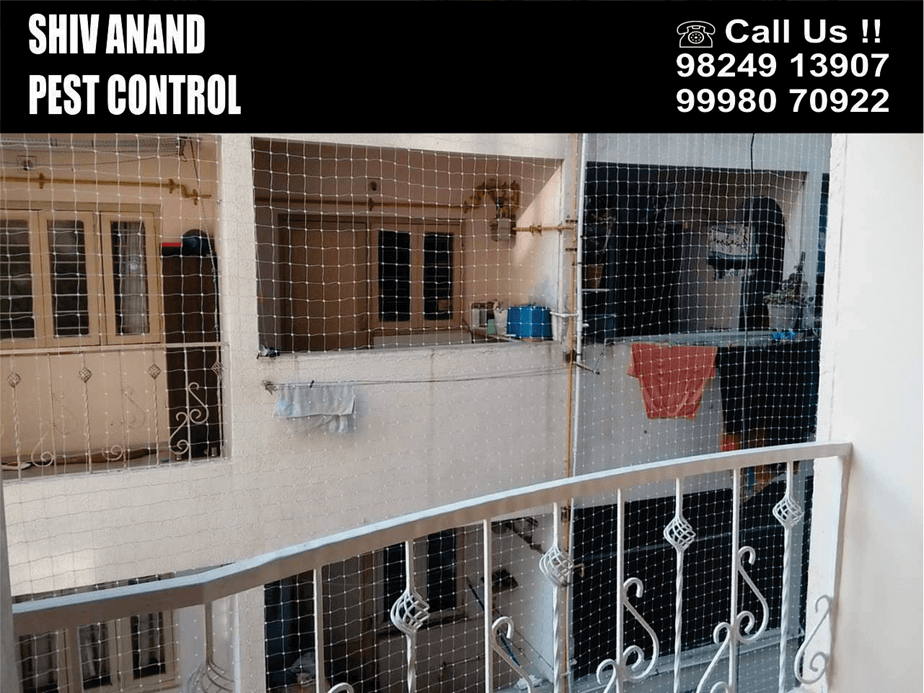 Shiv-Anand-Pest-Control